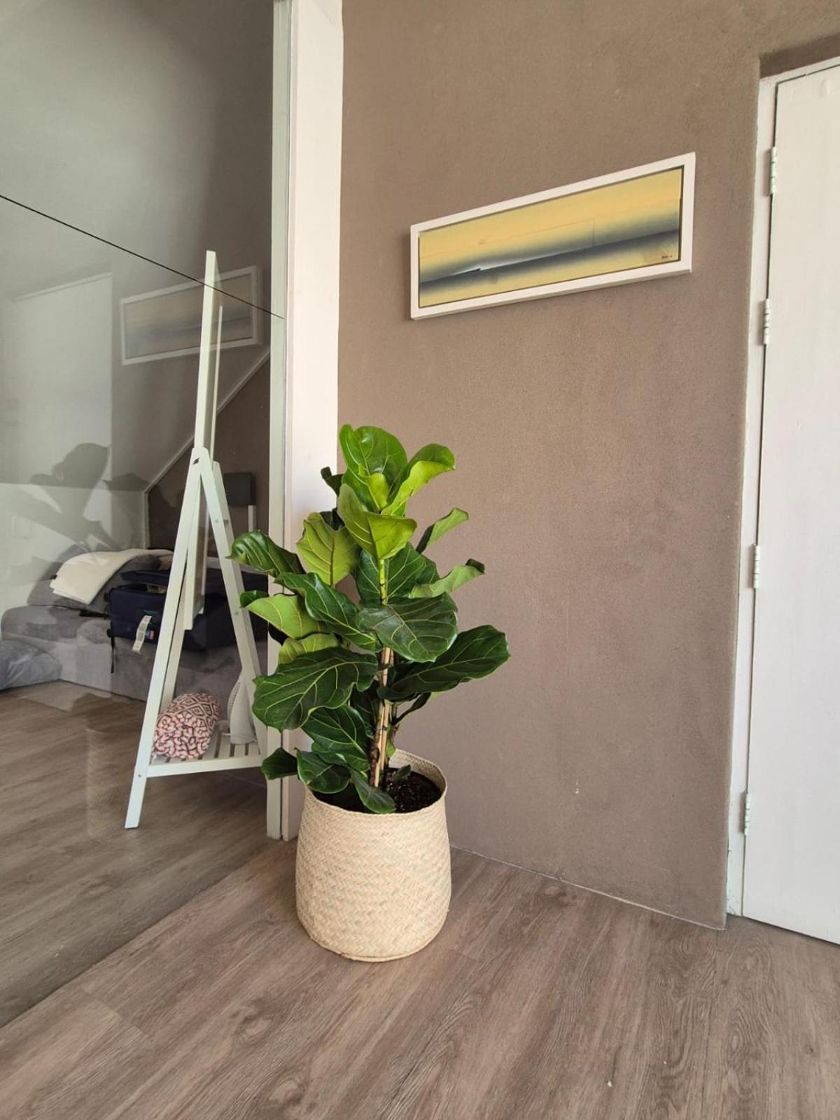 The Gardens Nook * Cidade Do Cabo