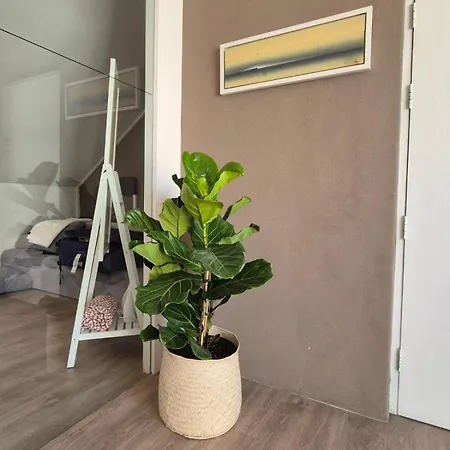Ferienwohnung The Gardens Nook Kapstadt Exterior foto
